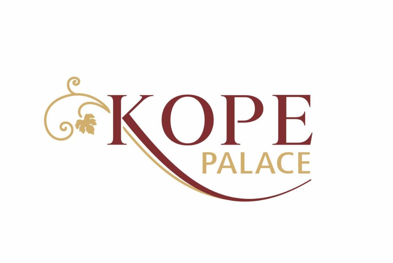 טביליסי Kope Palace מראה חיצוני תמונה